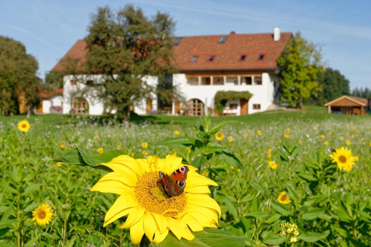 Hagerhof Apartment Eggstatt Bagian luar foto