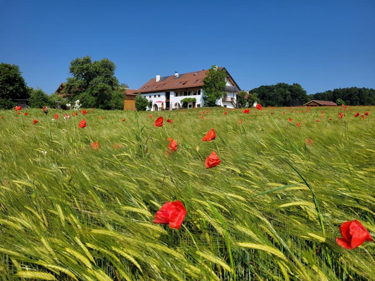Hagerhof Apartment Eggstatt Bagian luar foto